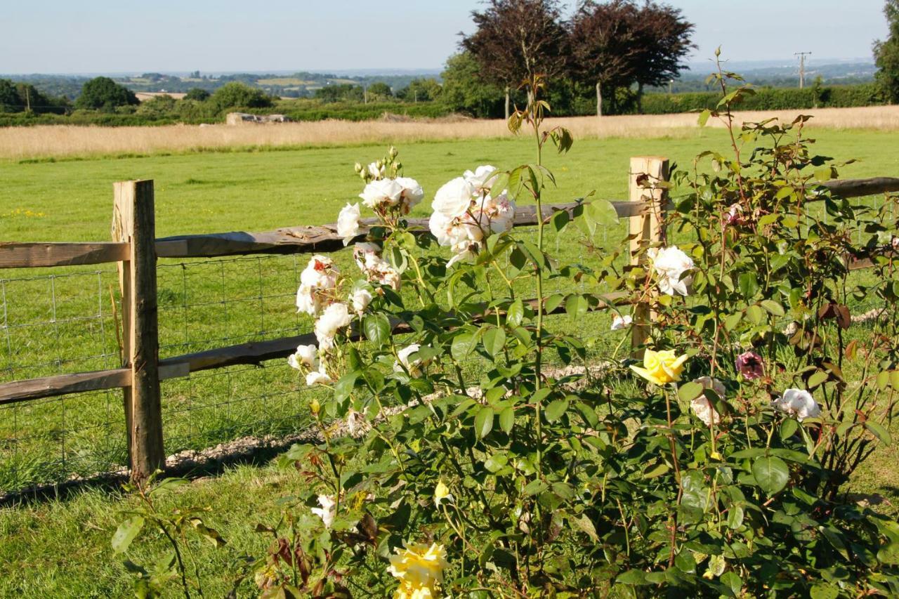 Bewl Rookery B&B Wadhurst Kültér fotó