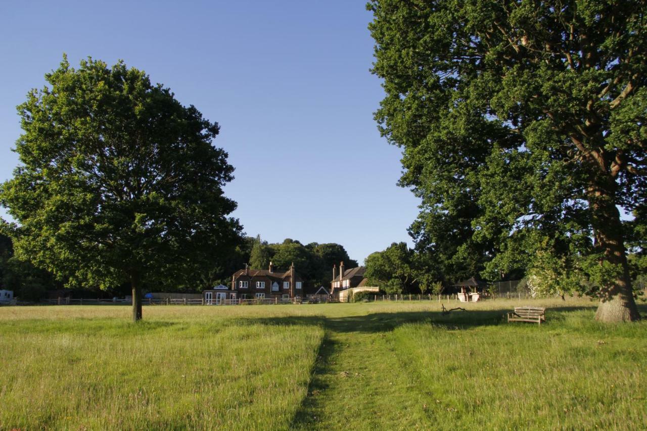 Bewl Rookery B&B Wadhurst Kültér fotó